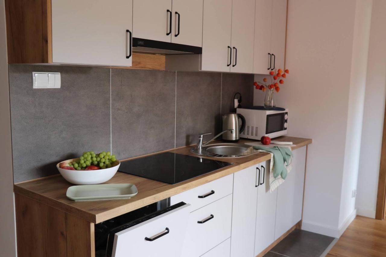 Apartamenty Pardalowka 50 Ζακοπάνε Εξωτερικό φωτογραφία
