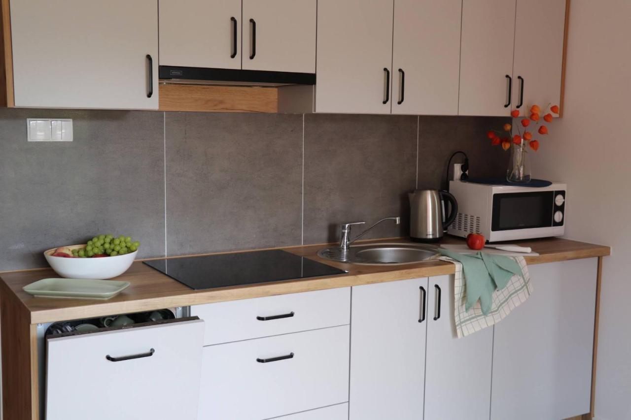 Apartamenty Pardalowka 50 Ζακοπάνε Εξωτερικό φωτογραφία