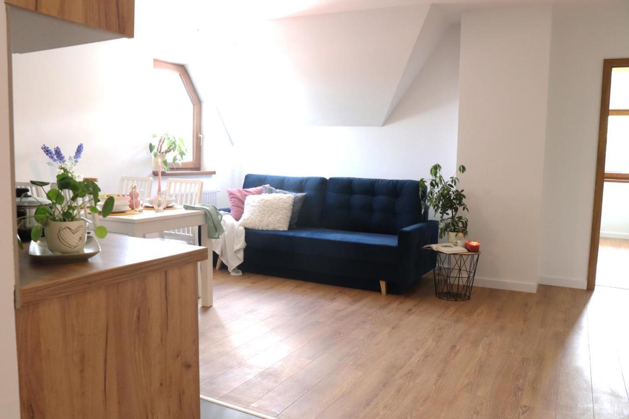 Apartamenty Pardalowka 50 Ζακοπάνε Εξωτερικό φωτογραφία